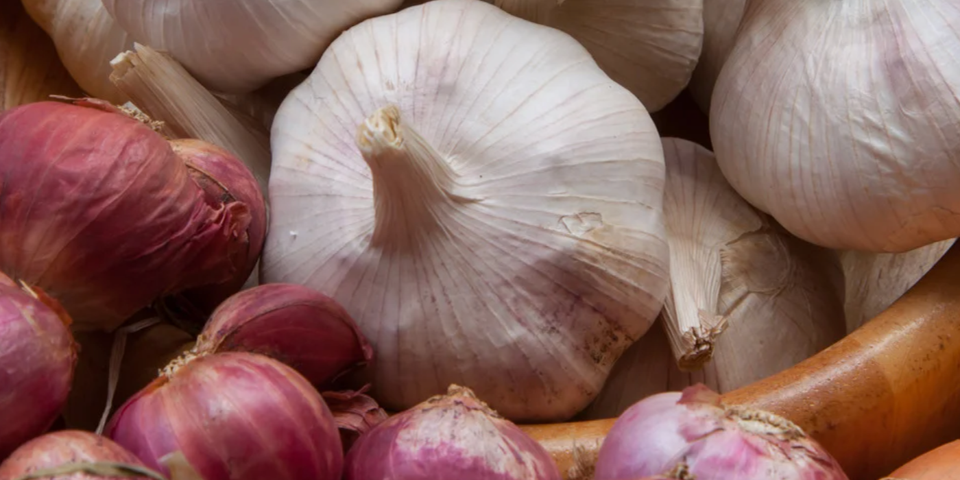 Les dangers des aliments toxiques pour les chats et comment les éviter