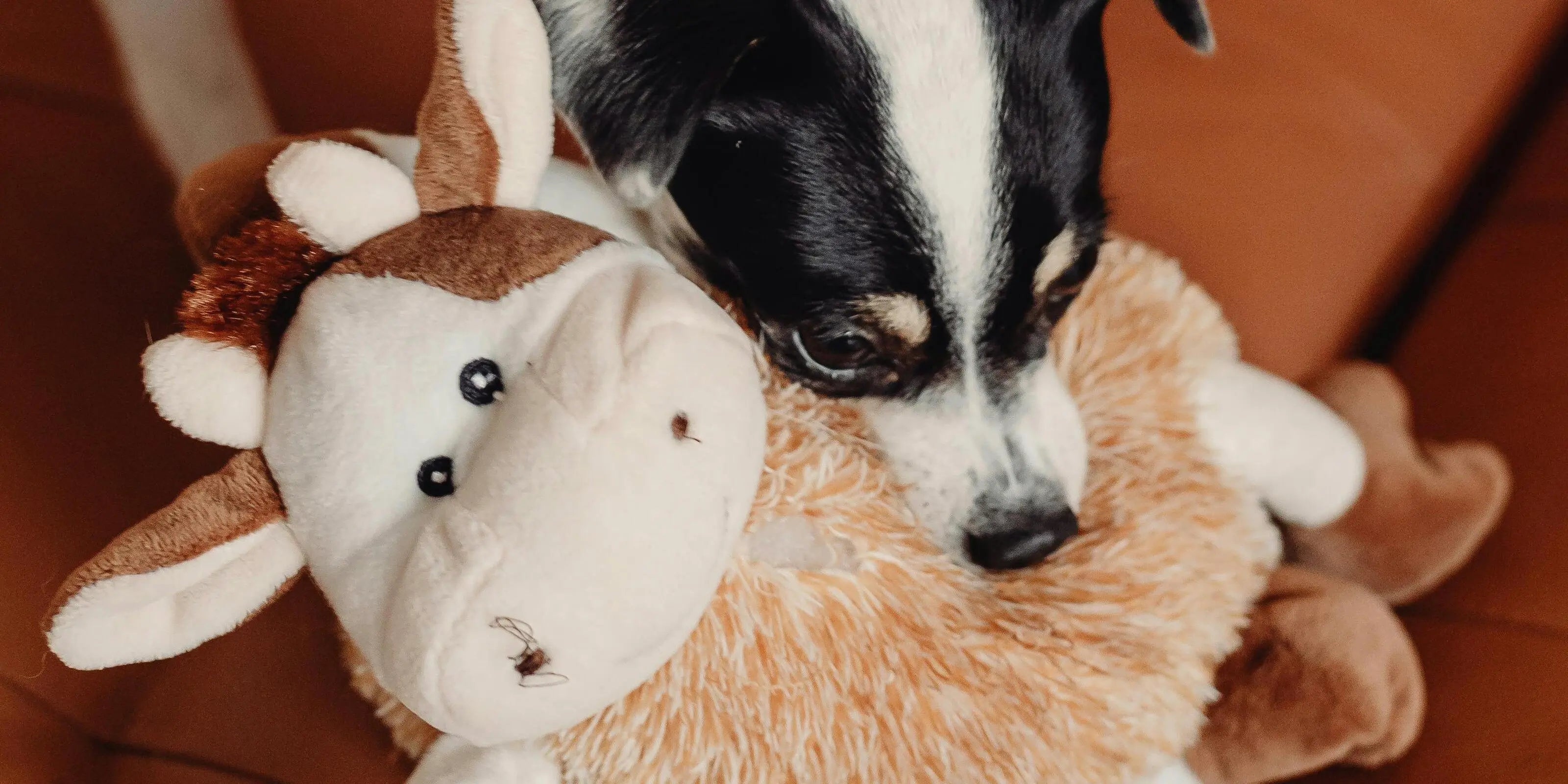 Peluches