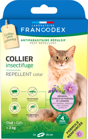 Collier insectifuge - chats