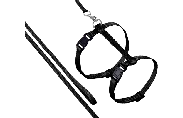 Harnais avec laisse (plusieurs couleurs)