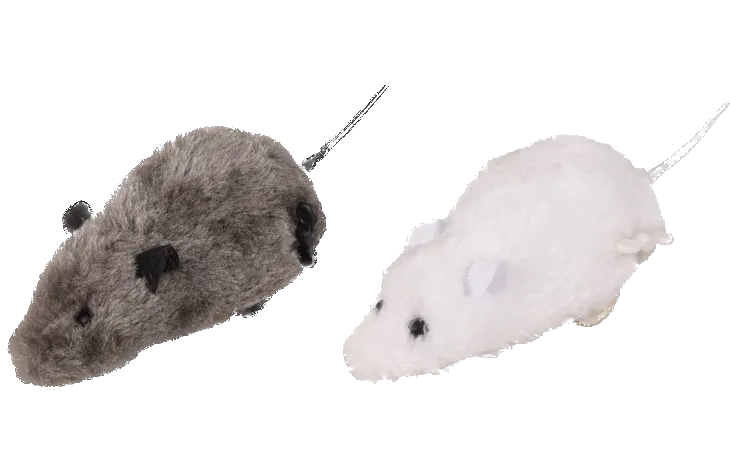 Petite souris pour chats