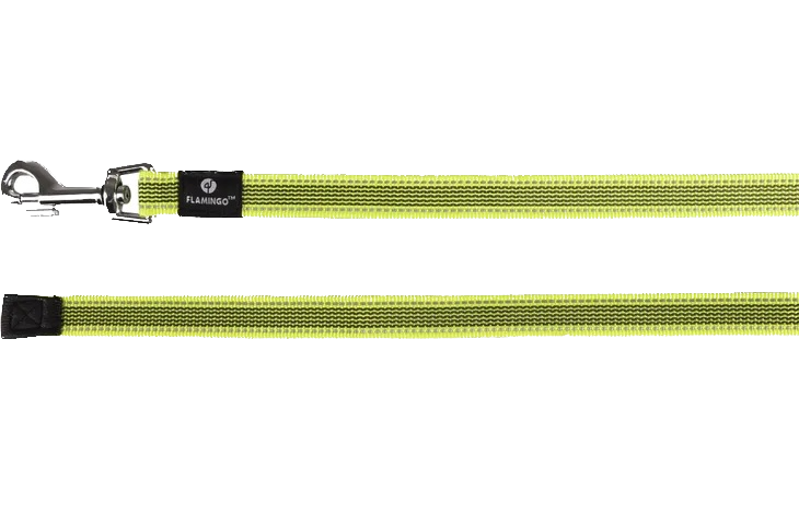 Longe d'entraînement