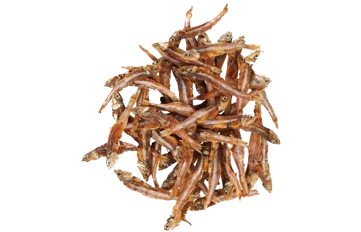 Friandises de petits poissons séchés