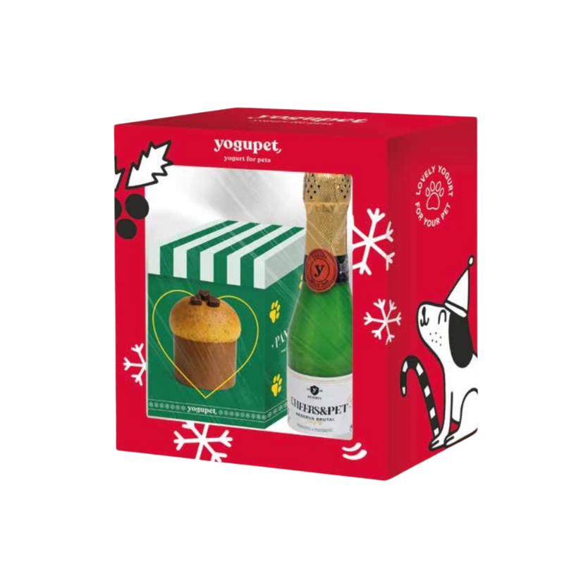 Box de Noël - Champagne et Panettone pour chien