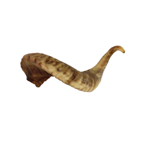 corne de mouton pour chien à mastiquer