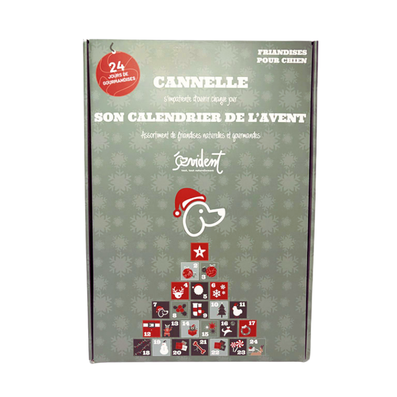 Carton du calendrier de l'avent pour chien