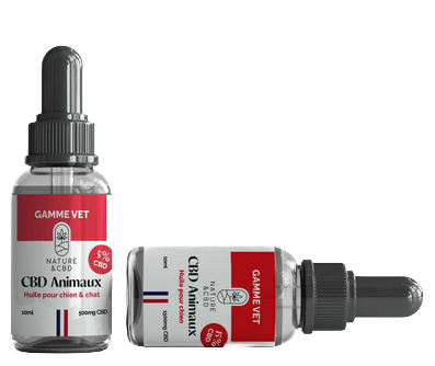 Huile de CBD pour chiens - Base Saumon