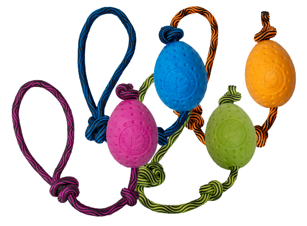 Jouet Egg Maxi - KIWI WALKER