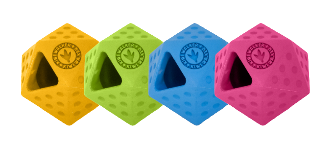 Jouet D'occupation Icosaball - KIWI WALKER