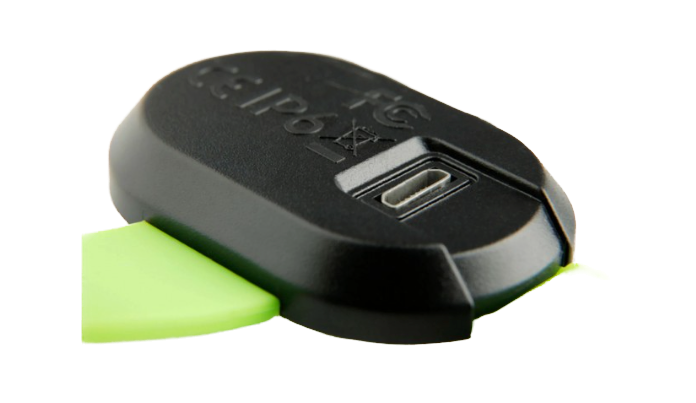 Led pour colliers et harnais - Max & Molly