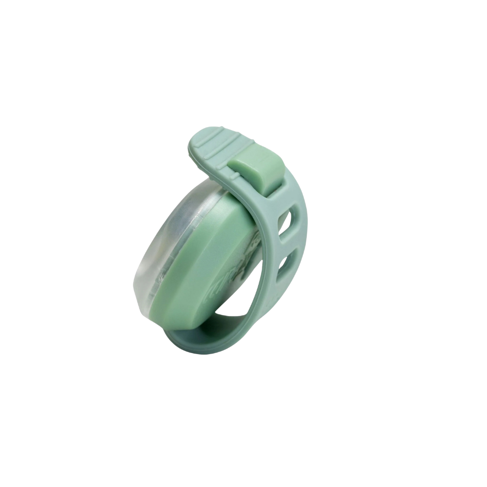 Collier à LED pour chien de la marque Max & Molly, gamme Matrix 2.0 couleur Jade