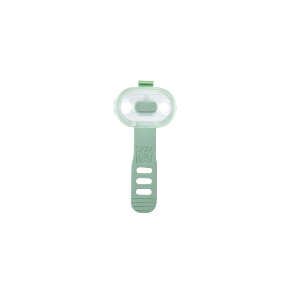 Collier à LED pour chien de la marque Max & Molly, gamme Matrix 2.0 couleur Jade