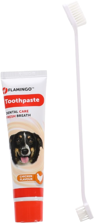 Dentifrice et brosse à dents