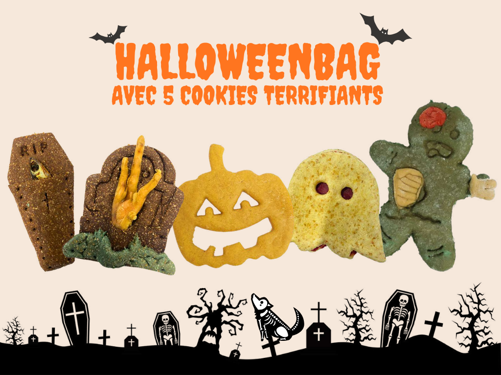 Sachet de biscuits Halloween pour chien