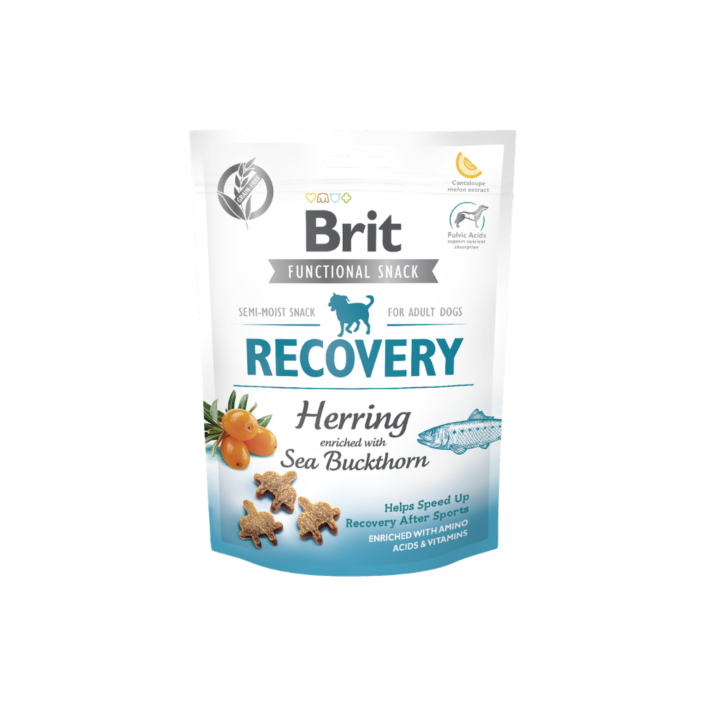 Friandises semi-humide pour chien pour la récupération au hareng et argousier