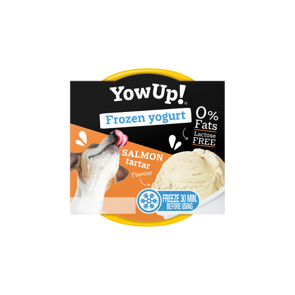 Glace pour chien et chat - Saumon - Yow Up