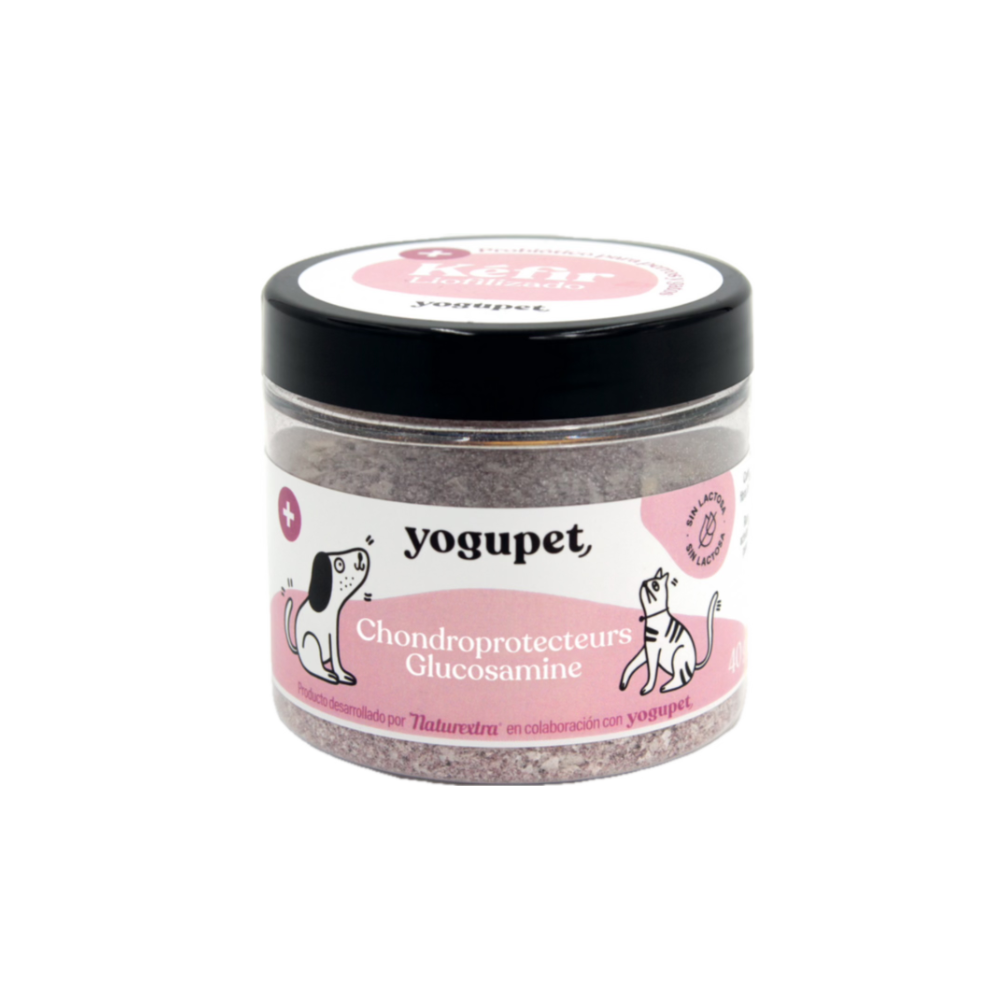 Kefir-lyophilise-articulaire