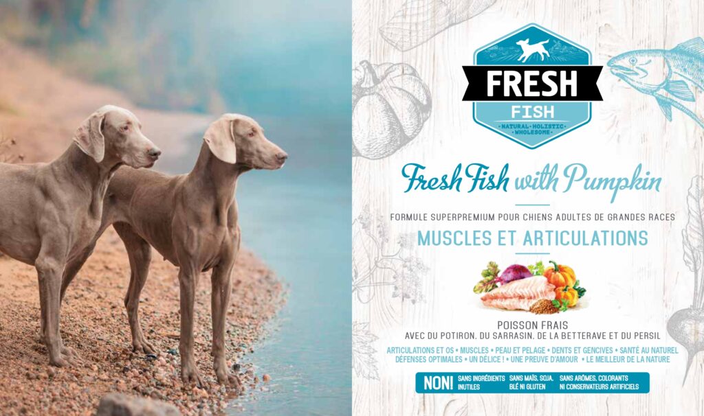 Croquettes pour chien - Brit Fresh saveur poisson et potiron