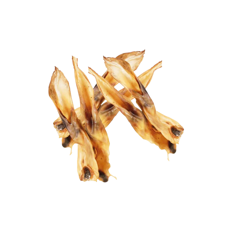 Oreilles de lapin sans poils