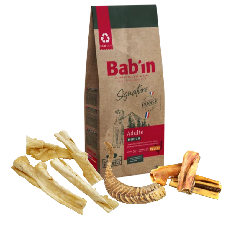 Pack Rentrée - Chien - Adulte Médium