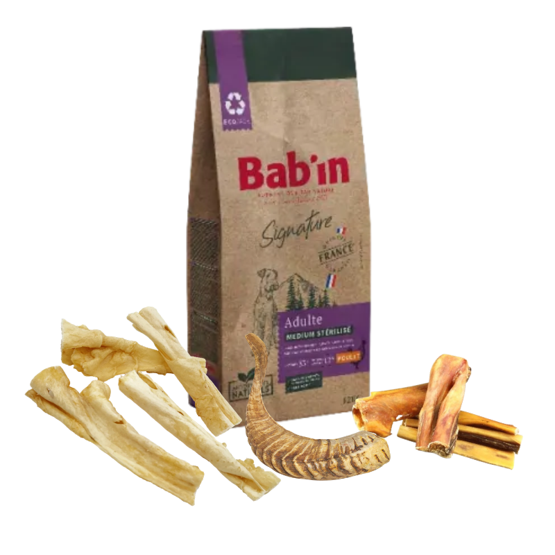 Pack Rentrée - Chien - Adulte Médium Stérilisé