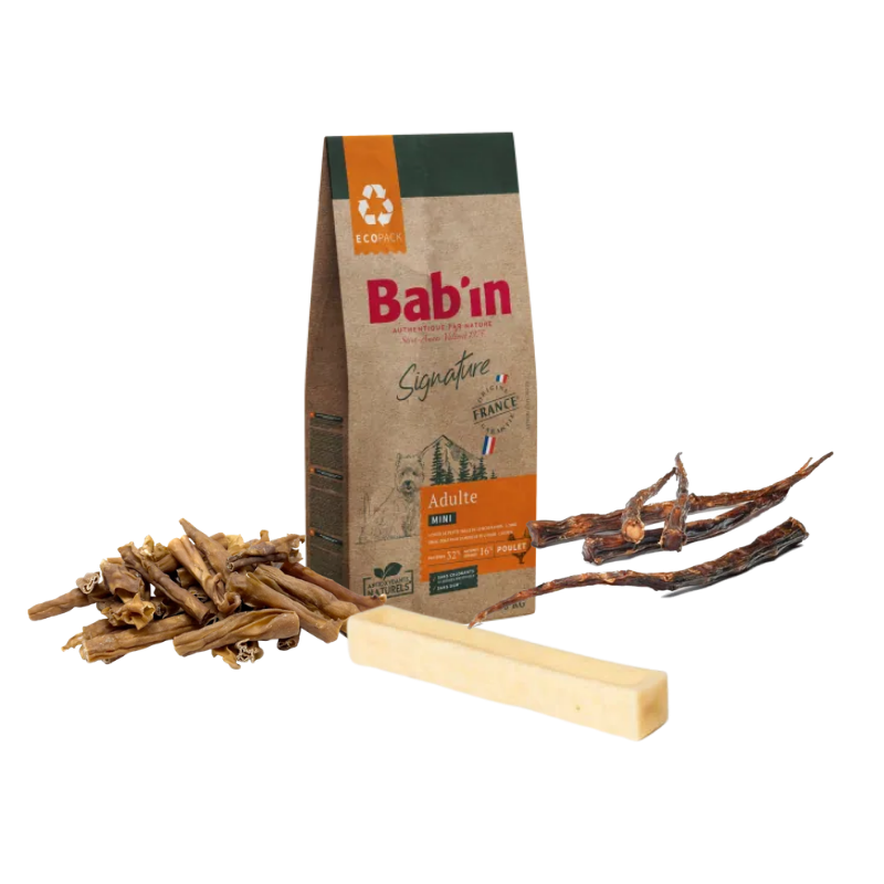 Pack Rentrée - Chien - Adulte Mini