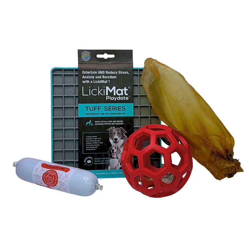Kit anti ennuie pour chien