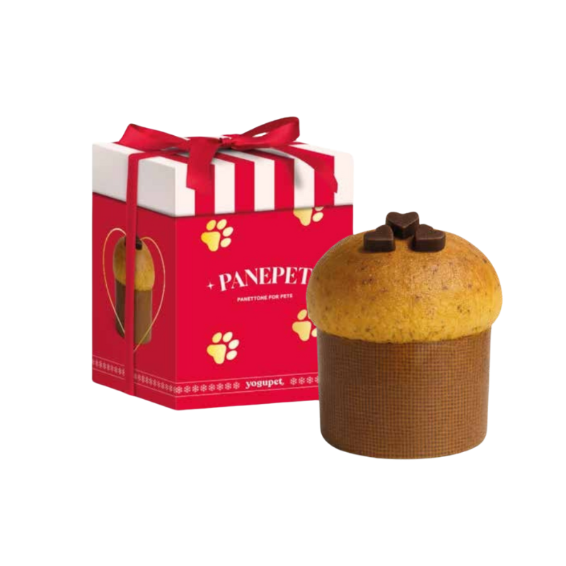 Panetton pour chien avec coffret de couleur rouge