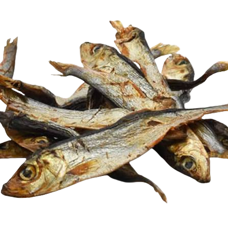 Mastication - petits poissons séchés