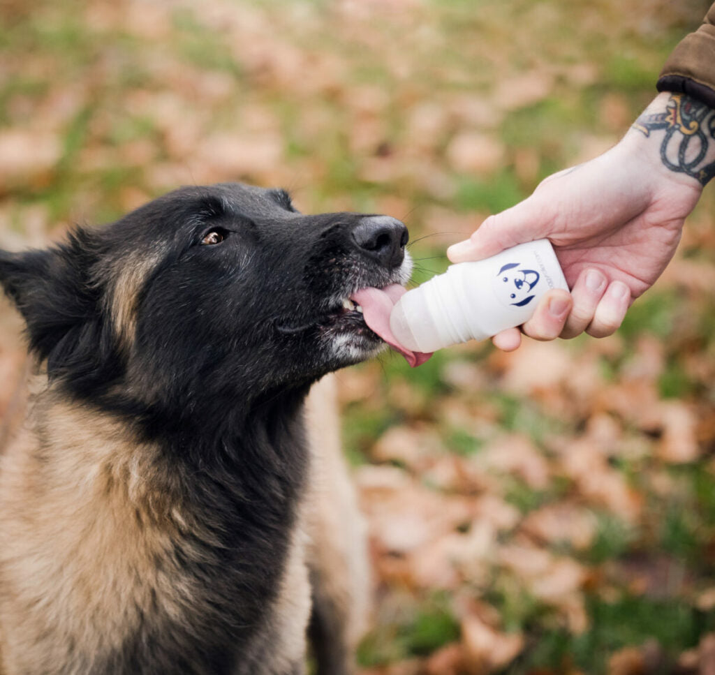 DoggyRoller - Roll on - Distributeur de gourmandises liquides