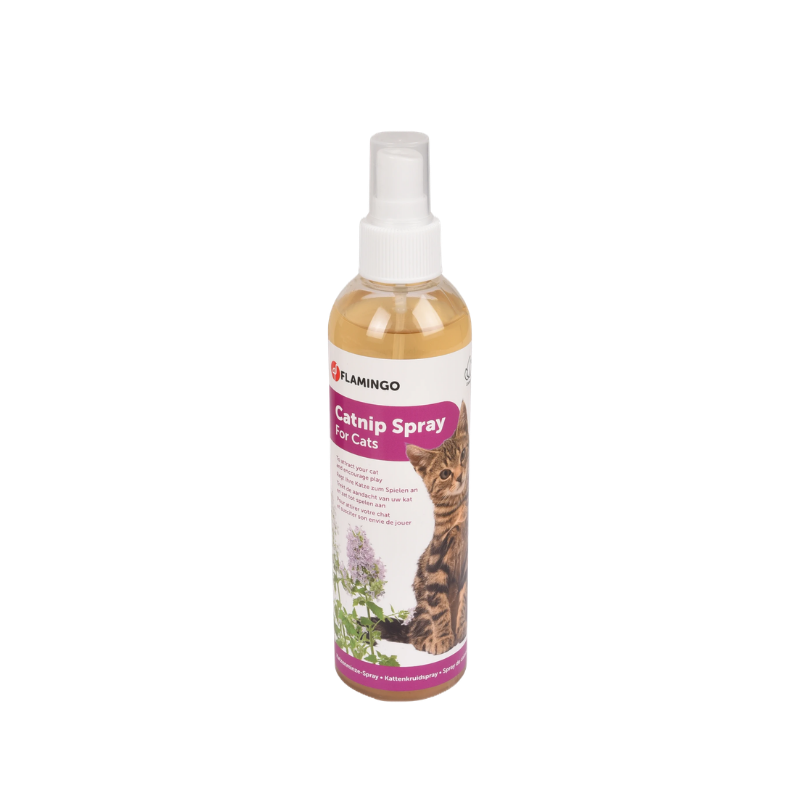 Spray d'herbe à chats