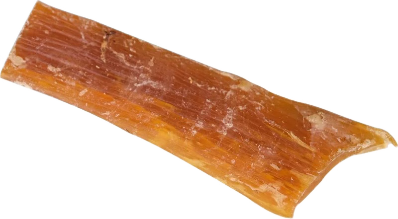 Tendon de boeuf mastication pour chien