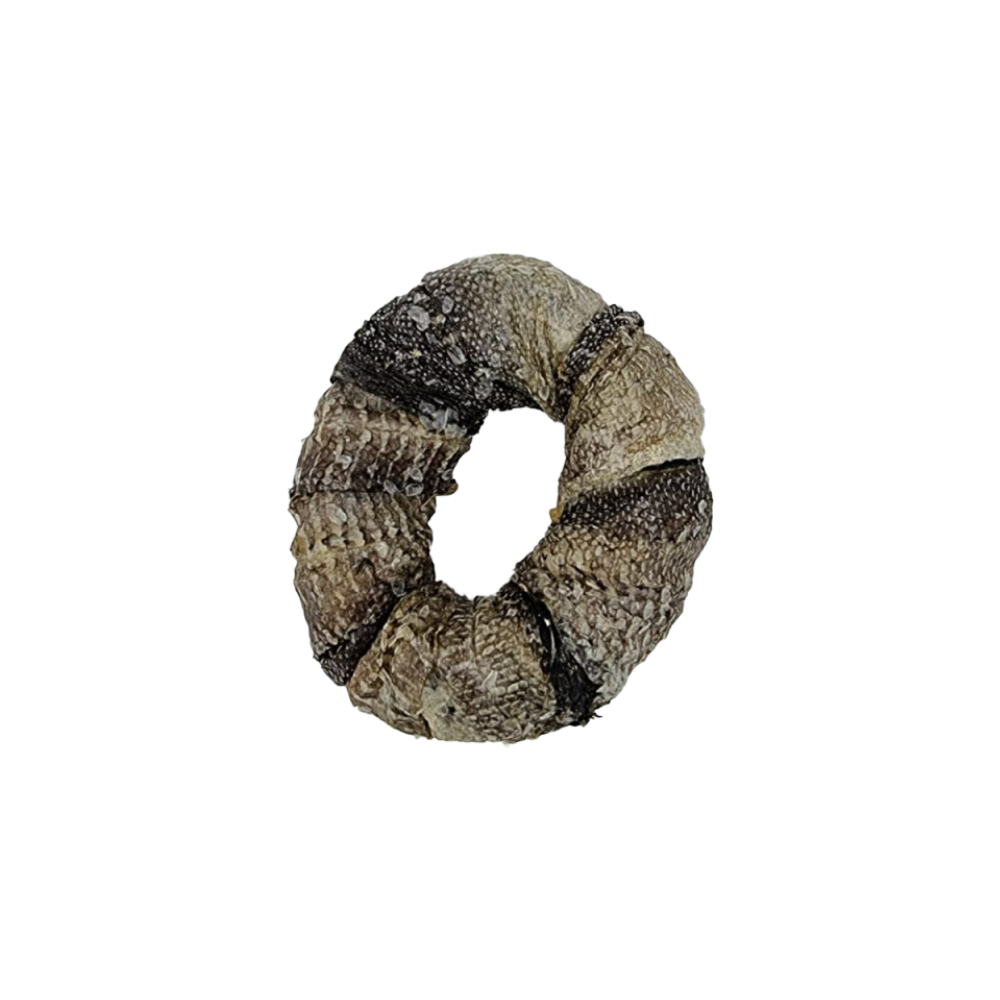 Anneau de peau de morue, mastication pour chien