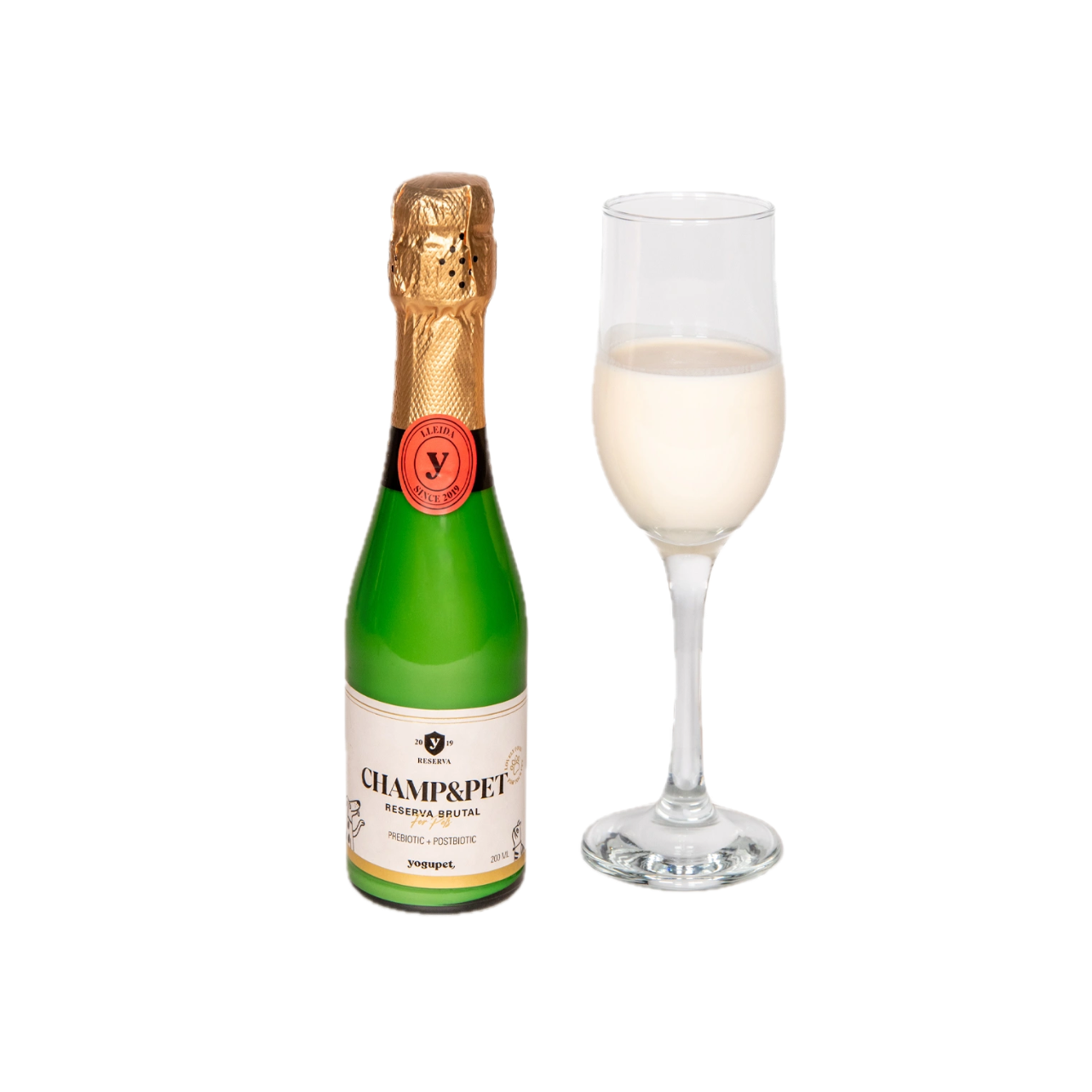 boisson pour chien et chat au kéfir