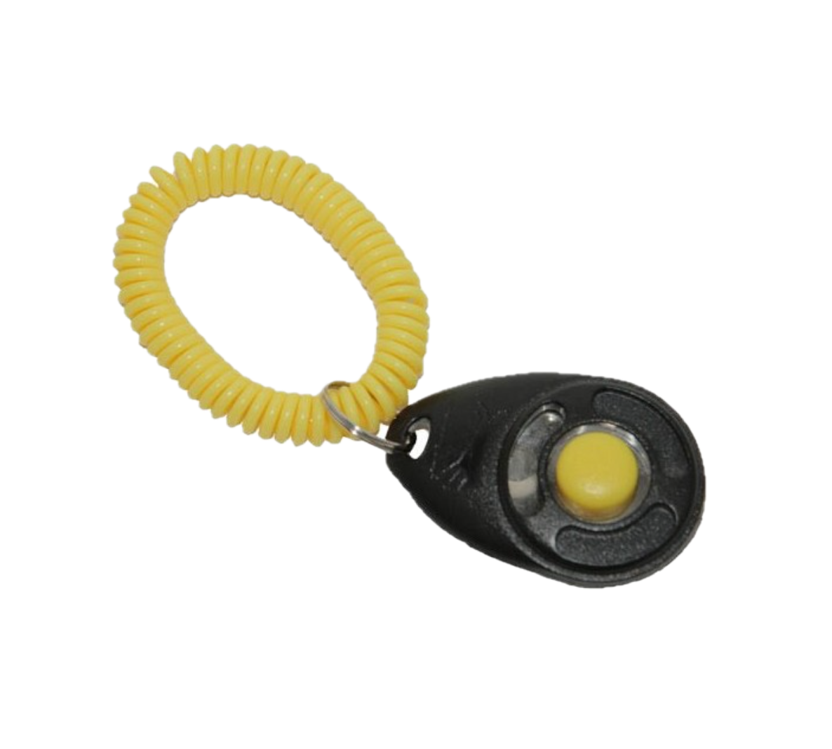 Clicker pro training