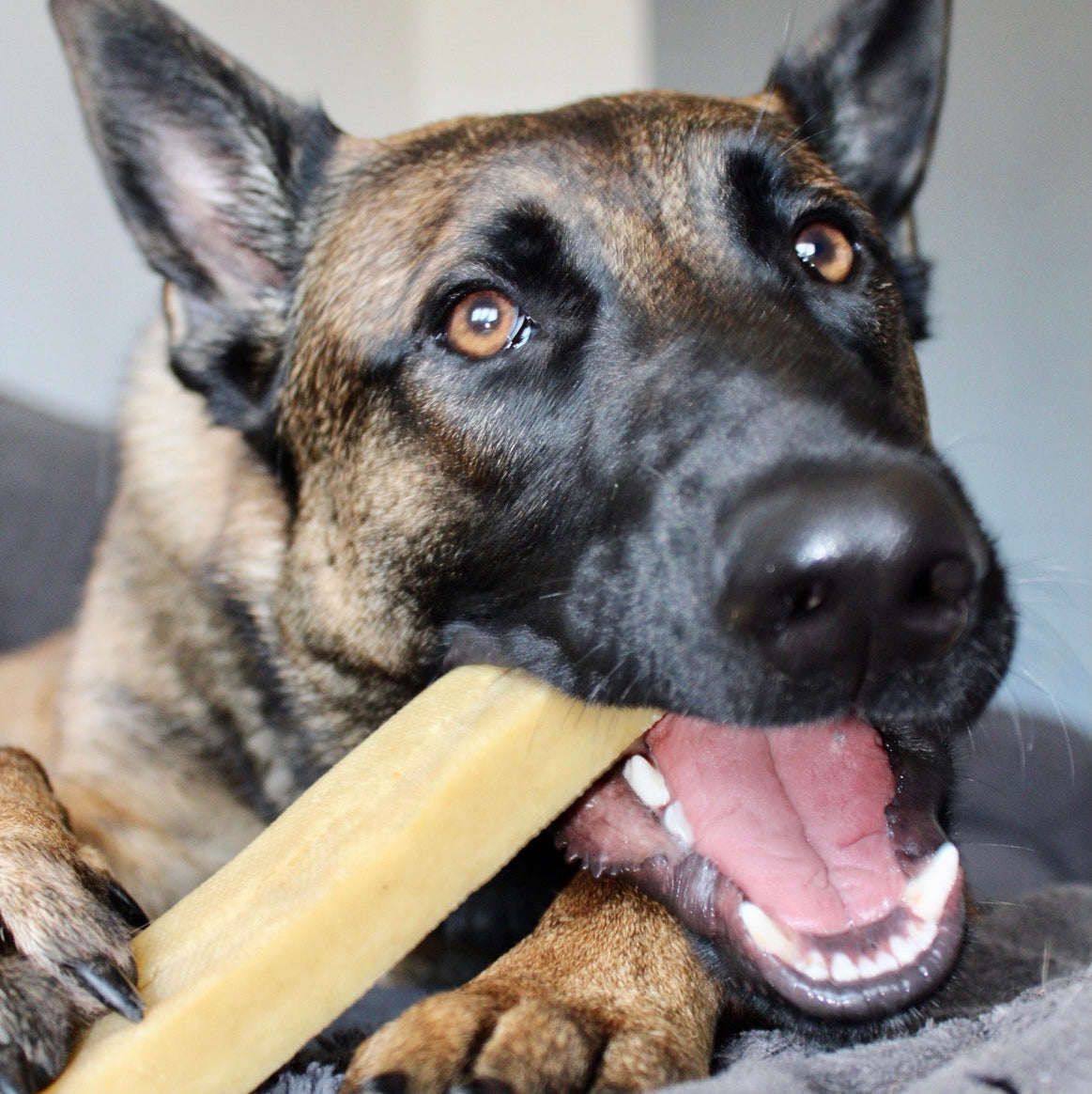 Bâtonnet de fromage de "Yak"