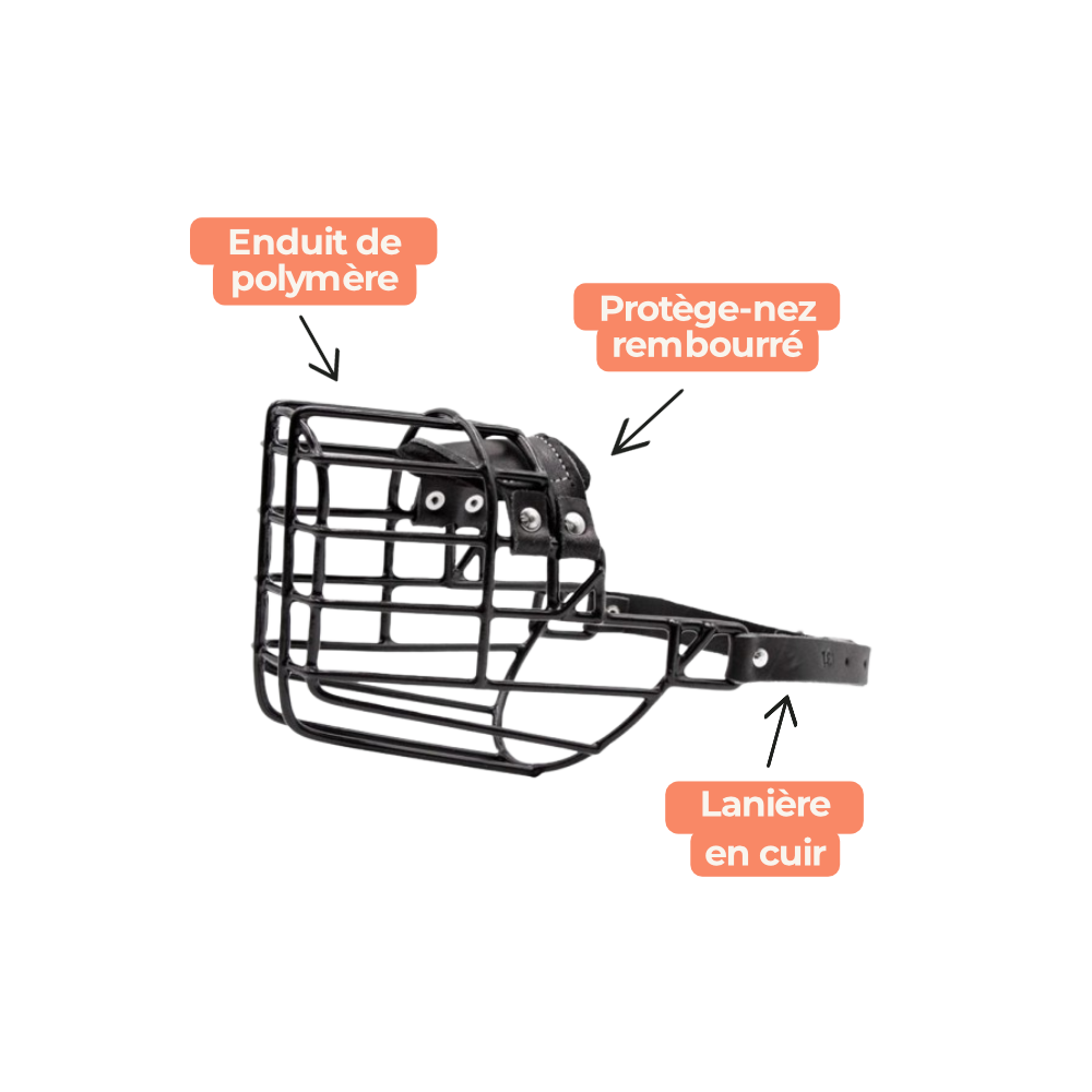 Muselière pour bien de la marque Gappay