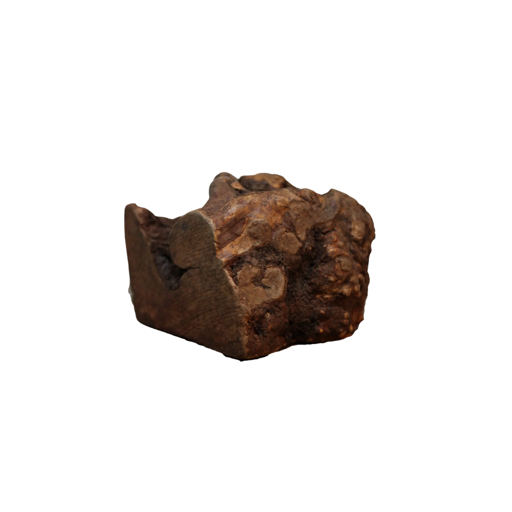 racine de bruyère infusée à l'huile de saumon, pour chien, à mastiquer