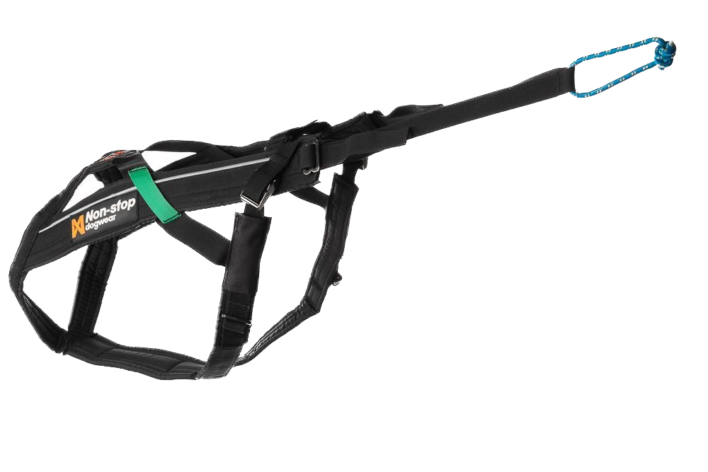 Harnais Freemotion - NonStop Dog Wear