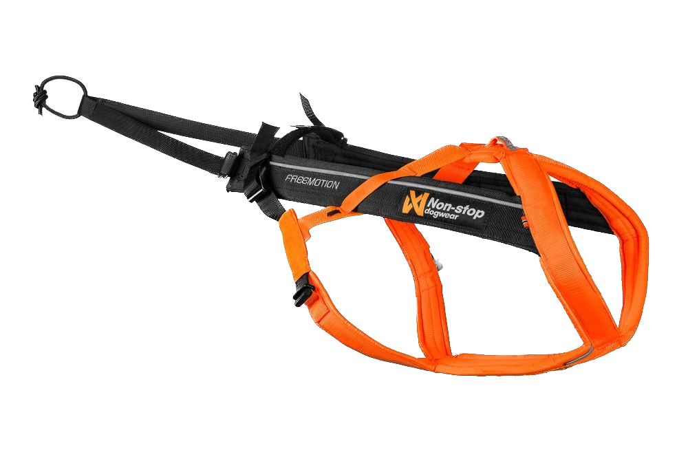 Harnais Freemotion 5.0 - NonStop Dog Wear