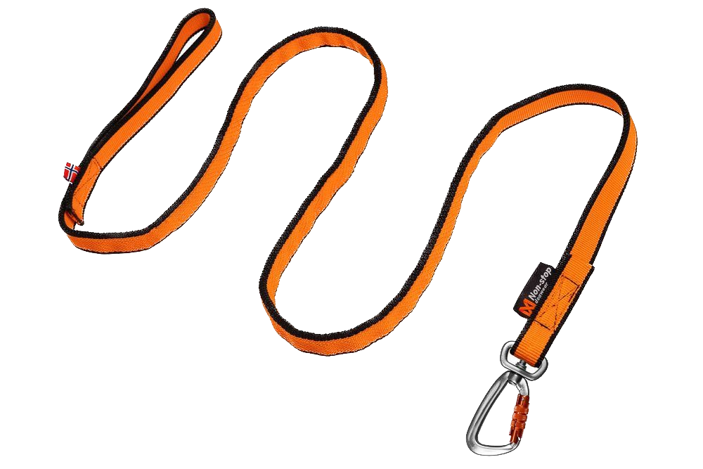 Laisse Bungee - Non Stop Dog Wear