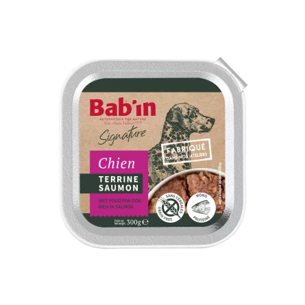 Terrine Chien - Saumon