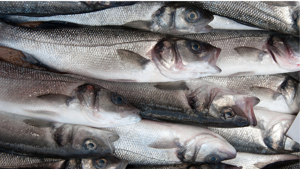 Poisson