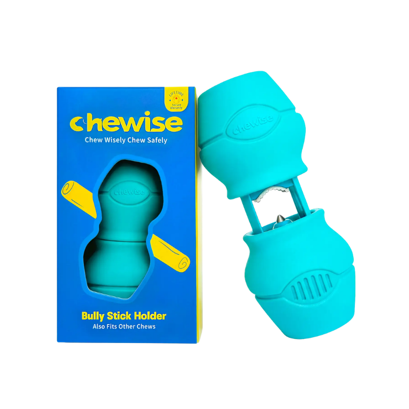 Support de bâtonnet à mâcher pour chien turquoise - Chewise