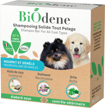 Shampoing Solide - chiens