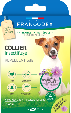 Collier insectifuge - chiots et petits chiens