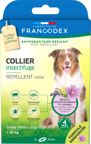 Collier insectifuge - grands chiens