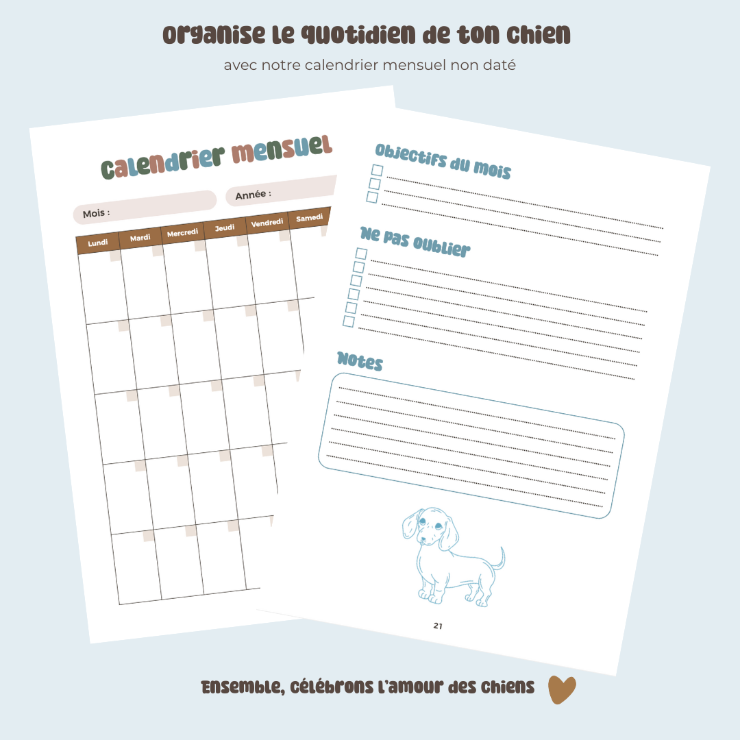 The Dog Planner