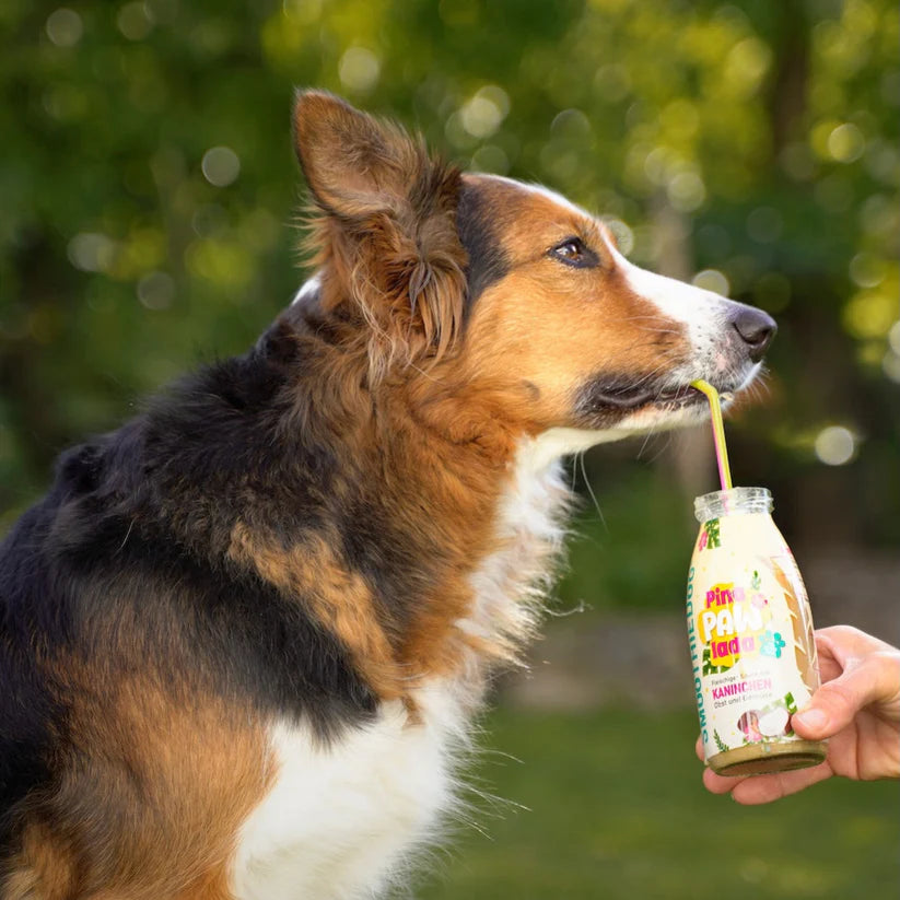 Smoothie pour chiens – Pina Paw Lada – 250ml