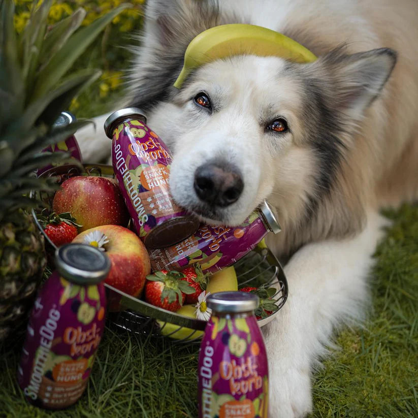 Smoothie pour chiens – Fruits – 250ml